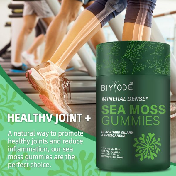 Bundle of Pure Himalayan shilajit & sea Moss Gummies – 3000 mg shilajit, sea Moss 1600mg ksm 66 ashwagandha, no Added Sugar, lab Tested, 75%+ fulvic Acid, 92+ Minerals, All One Supplement(1 Package) - 图片 4